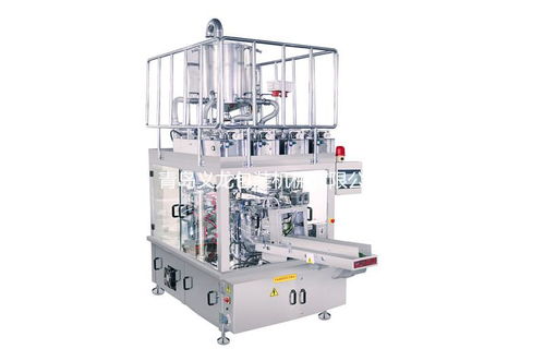 青島義龍包裝機械 YL 10ST 型給袋式包裝機 生產廠家、價格及電腦辦公設備租賃的綜合指南